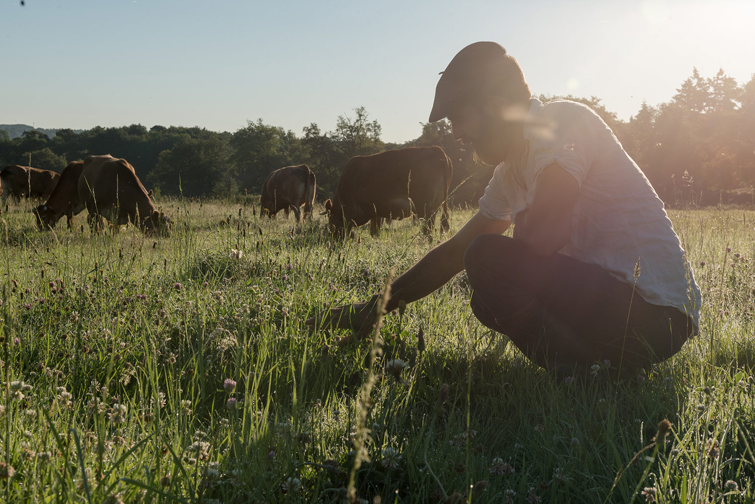 Relier la nature, les animaux et les hommes 